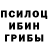 Псилоцибиновые грибы прущие грибы Tomas Nedela