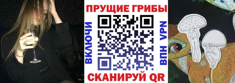 где можно купить   Бакал  сайты даркнета Telegram  Галлюциногенные грибы Cubensis 