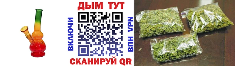где можно купить наркотик  Бакал  Конопля конопля 